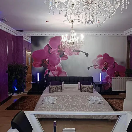 Paraiso Vip Tematico (adults Only)