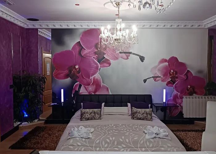 Paraiso Vip Tematico (adults Only)